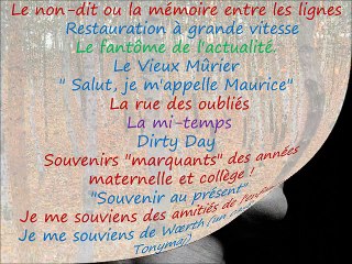 Edition "je me souviens" Club Médiapart