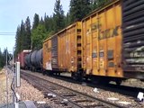 Union Pacific Freight Train With Rio Grande Power! - Dutch Flat, California
