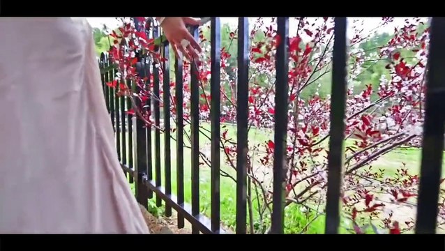 Saleem Javed ft Amir Zaki - Tum Mere Ho (Unplugged)