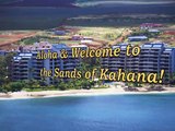 Maui Resorts offers fantastic 1 and 2 bedroom Vacation Rentals at the Sands of Kahana Resort