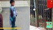 Bear attack rips off Chinese boy's arm after failed feeding attempt at zoo in Henan province