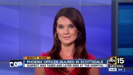 Suspect dies after scuffling with police in Scottsdale