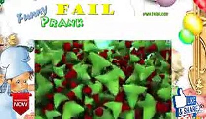 Funny Best of Just For Laughs Gags   Best Animal Pranks wgLETRq Oqg