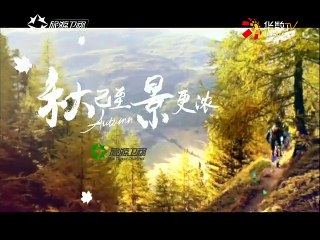 20150822 行者   别叫我宝贝：重返童年