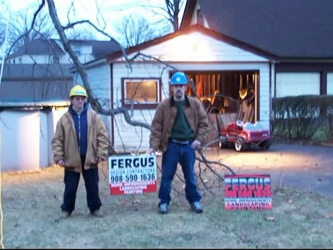 Rope Chain Saw to Trim Tree Branches Safely - FERGUS Landscaping & Lawn Care Snow Removal