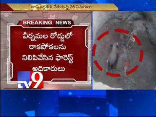Elephant falls into well in Chittoor