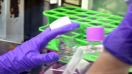 Living organ grown from lab-created cells