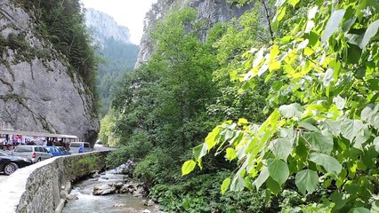 Romania 2015 - Iasi to Bicaz Gorge to Sinaia's Peles Castle