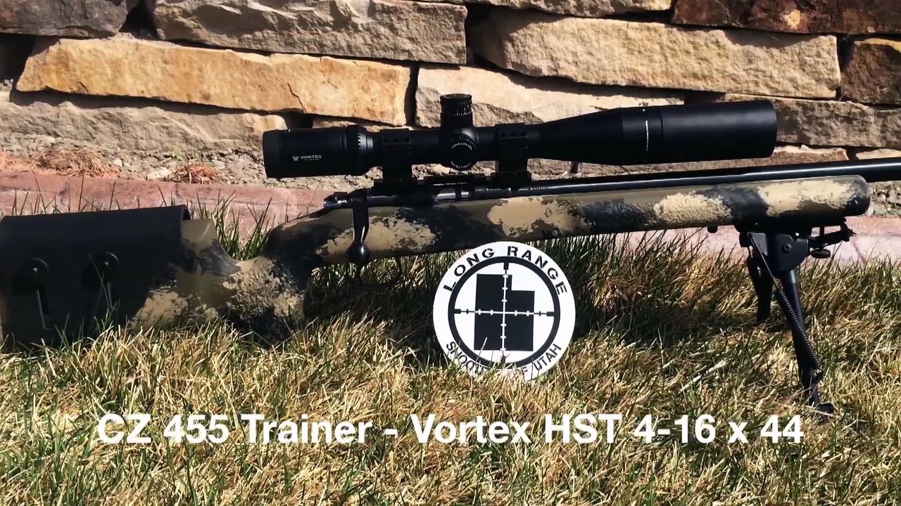 Shooting Toothpicks & Match Stick at 40 yards with a 22 LR - 22 LR Marksman Challenge July 2014