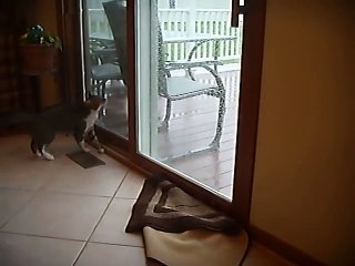 Felix vs rain drops[1]