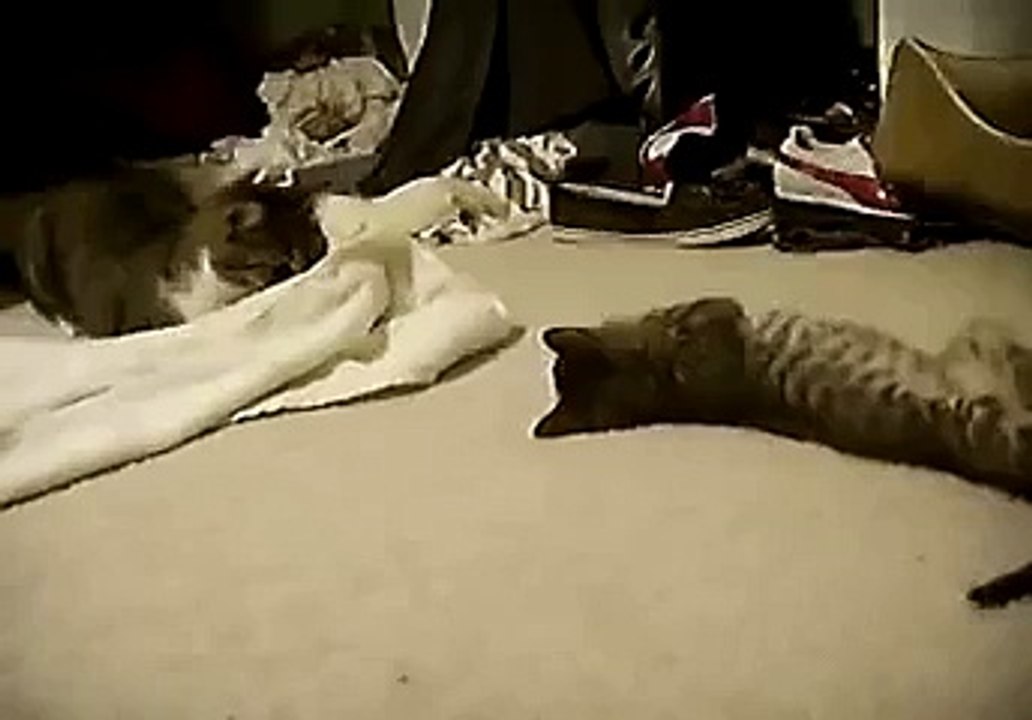 Gary vs. Felix - Round 2