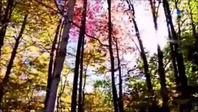 İlkay Armen - Zehretme Hayatı Bana Cananım