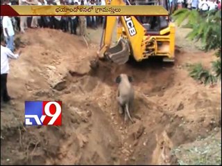 Baby Elephant falls in well in Chittoor