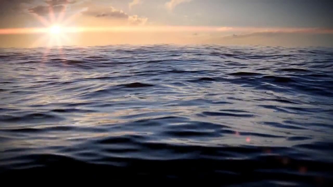 3D nature animation