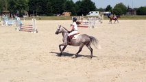 Poney à vendre - Rasmus - 9 ans - 1m48