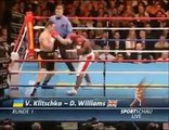 Vitali Klitschko vs Danny Williams Highlights