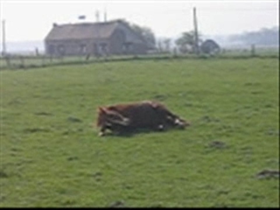 Cheer retrouv Atalante et Gayanne