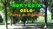 NORVEGIA - Oslo  Parco di Vigeland  ─  Norway - Oslo Vigeland Park