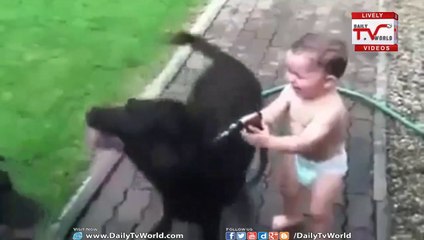 Baby And Dog Playing Must watch