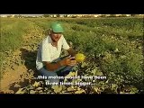 Cyprus Drought - Cyprus