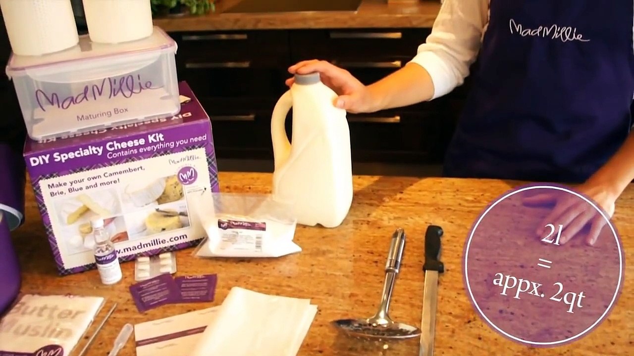 How to make Camembert at home with your Mad Millie Speciality Cheese