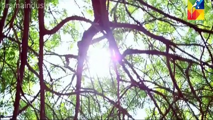 Tumhare Siwa OST Title Song on Hum Tv