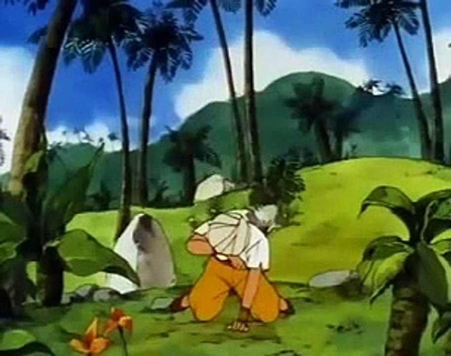 ANIMATION vidéo