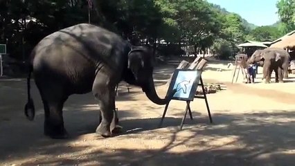 AMAZING - ELEPHANT DRAWING ELEPHANT
