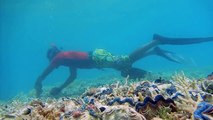 Film de sensibilisation à la protection des récifs coralliens de Polynésie Française