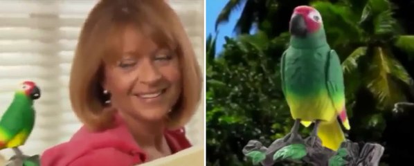 Chatty Patty The Parrot