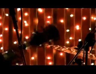 Goodnight Rose by Ryan Adams