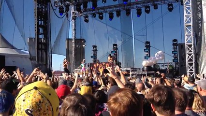 Die Antwoord - I Fink U Freeky - Riot Fest Toronto 2014