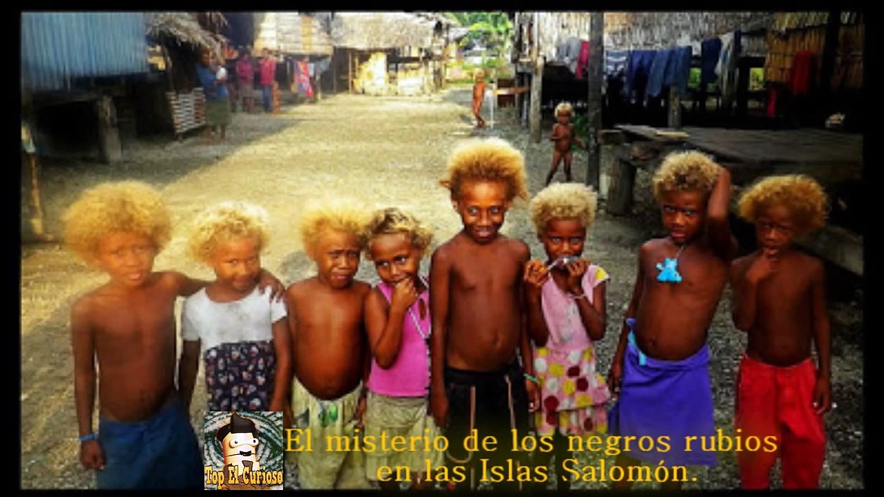 El misterio de los negros rubios en las Islas Salomón. - video dailymotion