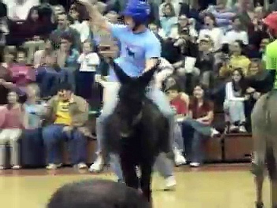 Donkey Basketball