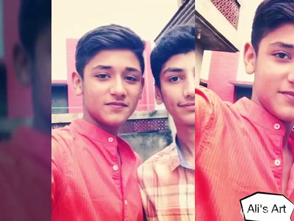 Ali Hamid Mughal