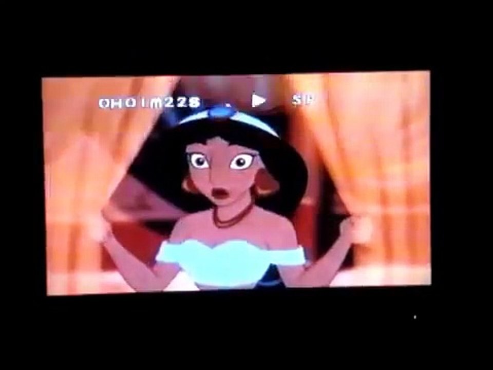 Opening to The Lion KIng 1 1/2 2004 VHS