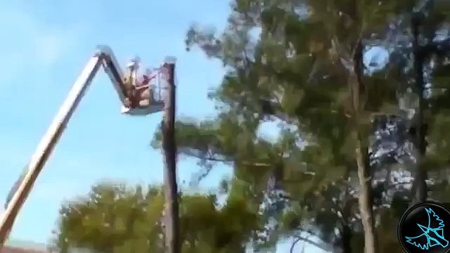 Fail Videoları, Komik Videolar, Kaza Videoları