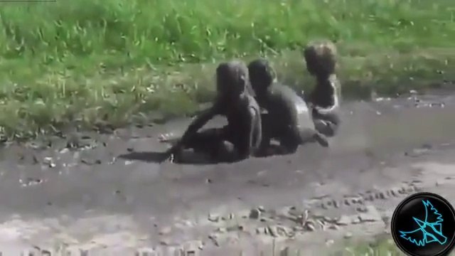 Komik Videolar, Fail Videoları, Kaza Videoları