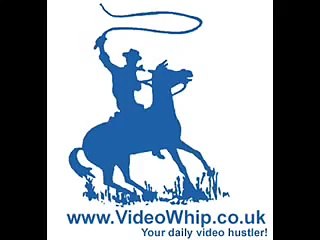 Very Funny Video, Very Angry Cat