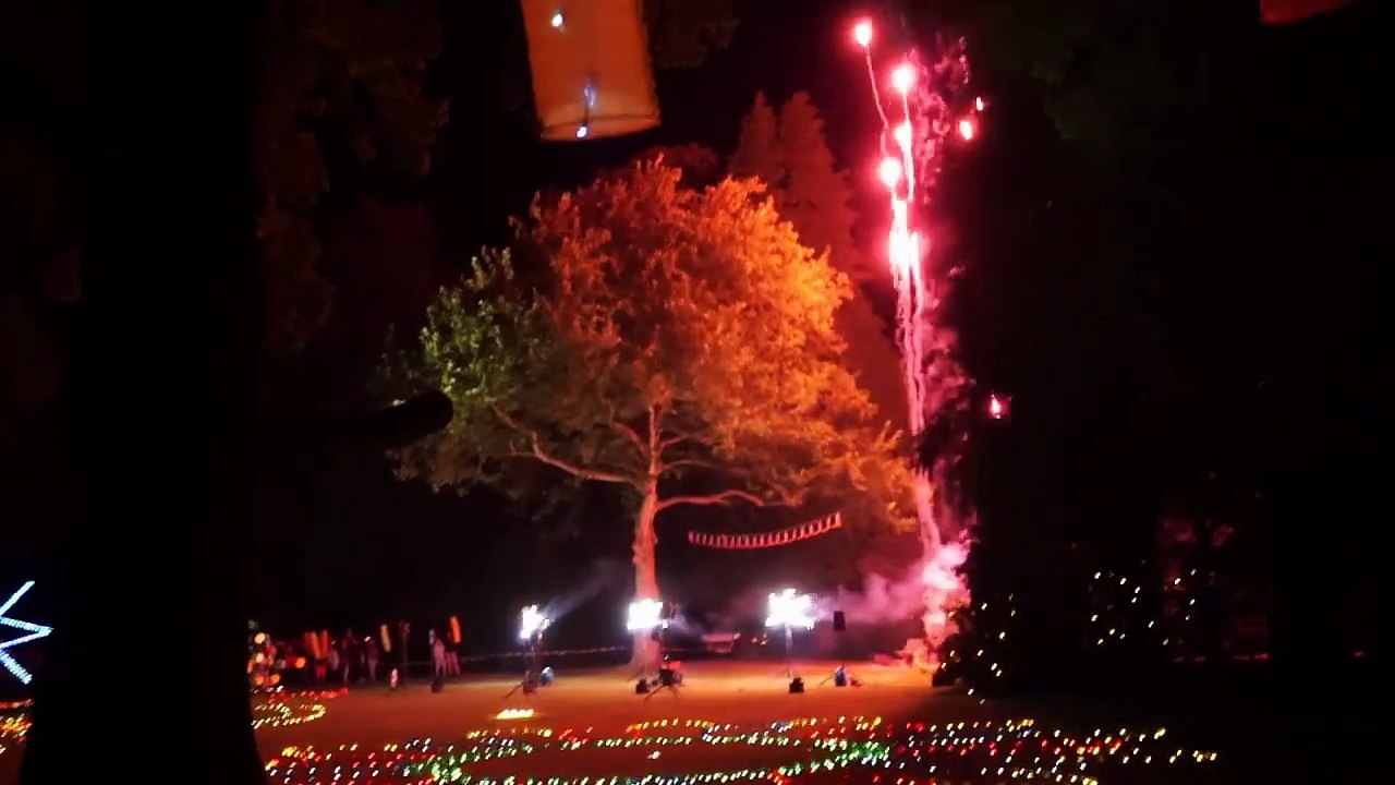 Feuerwerk Bad Harzburg