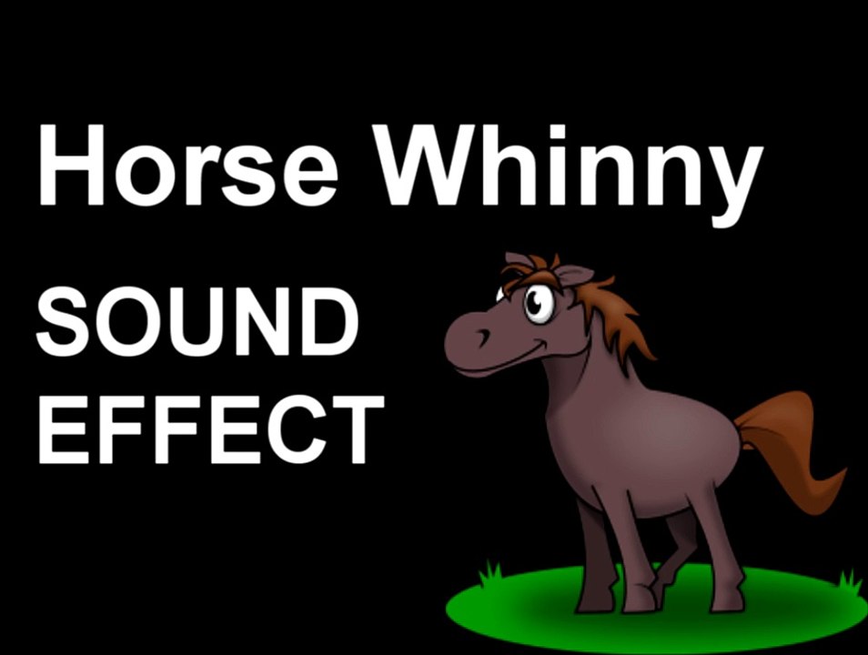 Horse Whinny SOUND EFFECT video Dailymotion