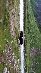 VID-20150822-WA0008.mp4