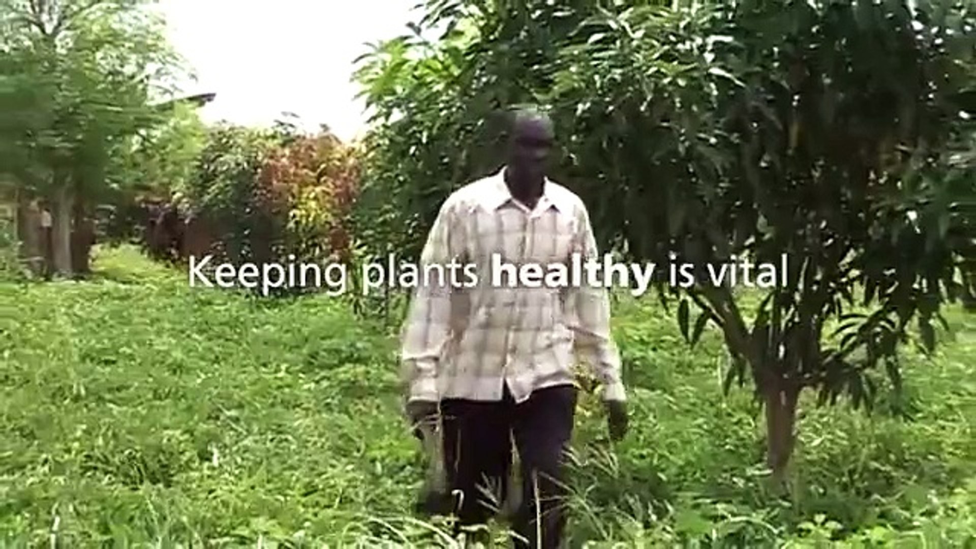 ⁣Self Help Africa: Plant Clinics Uganda