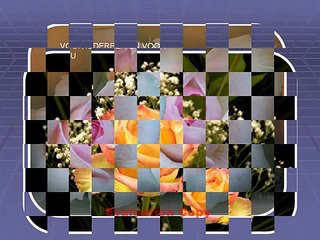 DUIZEND MOOIE DROMEN