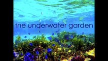 14. UNDERWATER GARDEN – SYMPHONY NO. 1 ガーデン 交響曲