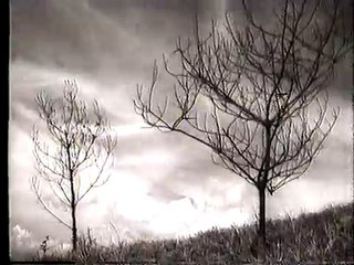 清明時節 (清晰版全片4) 謝賢,嘉玲 領銜Hong Kong 60s Flims