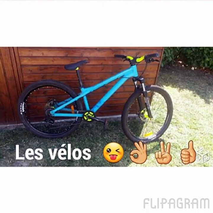 les vélos le bonheur