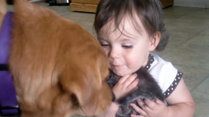 Bambina incollata ad un gatto