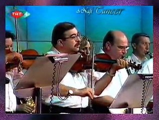 Emel SAYIN *Ben Seni Unutmak İçin Sevmedim*