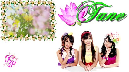『Lotus』 ✿ タネ ✿ 『Tane』